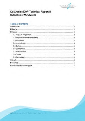 Cultivation of MDCK cells